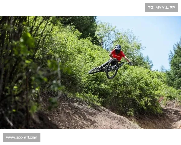 速降赛排位赛结束：英国车手在泥泞赛道展现特殊优势